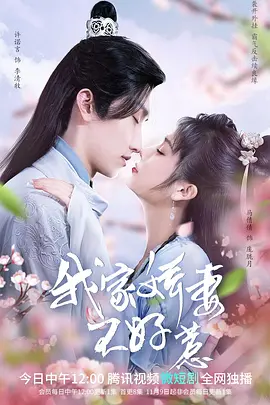 我家娇妻不好惹海报