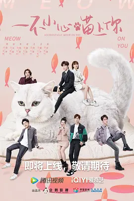 一不小心喵上你海报