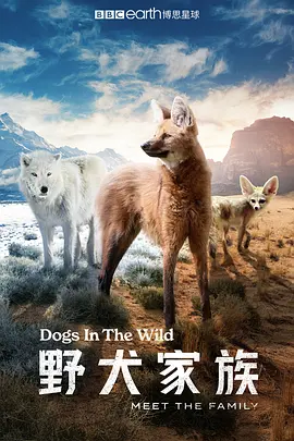 野犬家族 Dogs in the Wild: Meet the Family海报