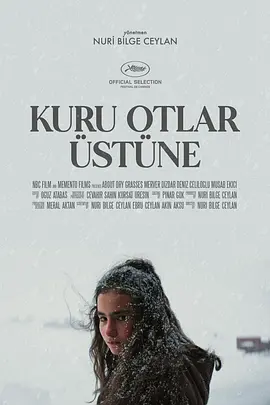 枯草 Kuru Otlar Üstüne海报