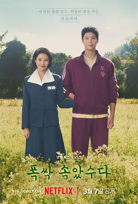 苦尽柑来遇见你 폭싹 속았수다海报
