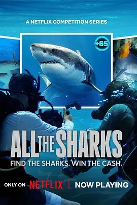 众里寻鲨：拍摄大作战 All the Sharks海报