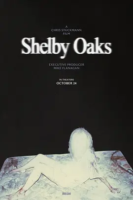 寻踪迷镇 Shelby Oaks海报