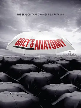 实习医生格蕾 第六季 Grey's Anatomy Season 6海报