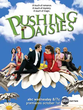 灵指神探 第二季 Pushing Daisies Season 2海报