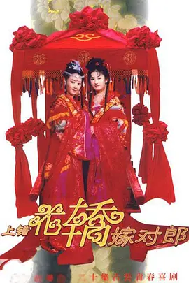 上错花轿嫁对郎海报