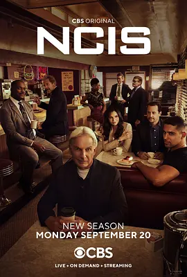 海军罪案调查处 第十九季 NCIS: Naval Criminal Investigative Service Season 19海报