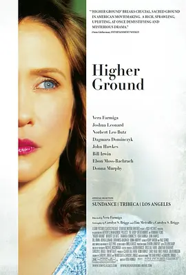 更高境界 Higher Ground海报