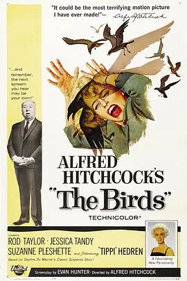群鸟 The Birds海报