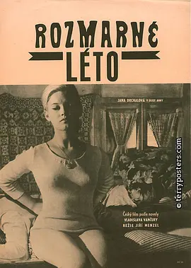 反复无常的夏天 Rozmarné léto海报