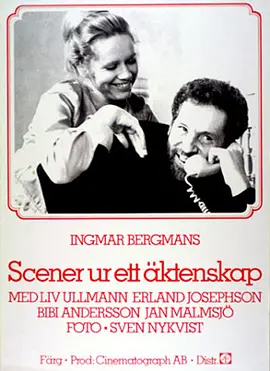 婚姻生活 Scener ur ett äktenskap海报