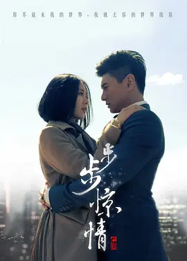 步步惊情海报