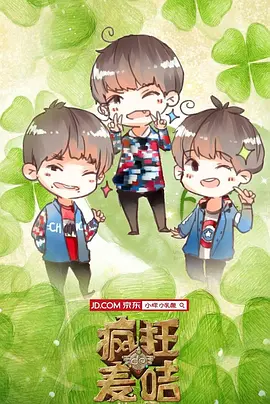 疯狂的麦咭 第二季海报