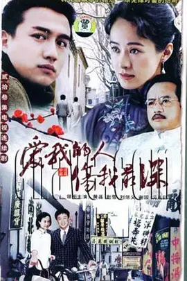 风雪夜归人海报