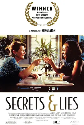 秘密与谎言 Secrets & Lies海报