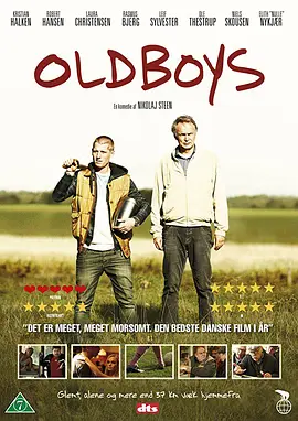 老男孩 Oldboys海报