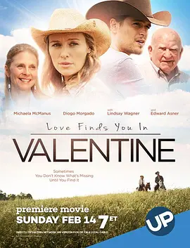 爱在瓦伦丁 Love Finds You in Valentine海报