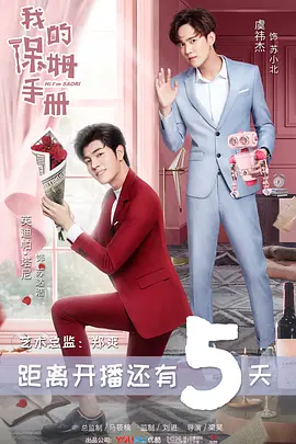 我的保姆手册海报