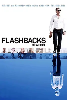 傻瓜回忆录 Flashbacks of a Fool海报
