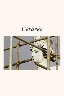 塞扎里 Cesarée海报