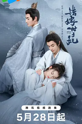错嫁世子妃海报