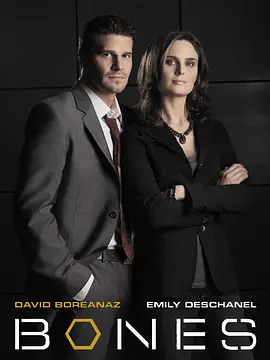 识骨寻踪 第一季 Bones Season 1海报