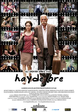 伤不起的女人 Hayde bre海报