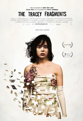 翠西碎片 The Tracey Fragments海报