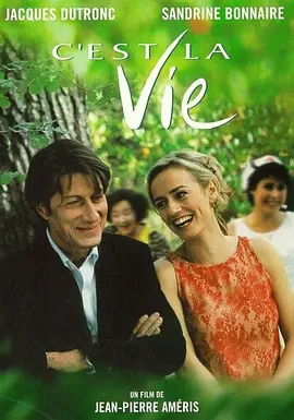 这就是生活 C'est la vie海报