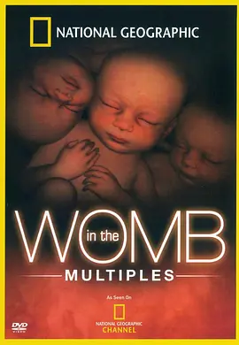 子宫日记：多胞胎 In the Womb: Multiples海报