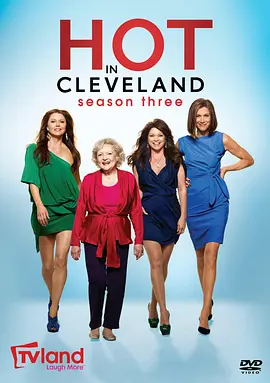 燃情克利夫兰 第三季 Hot in Cleveland Season 3海报
