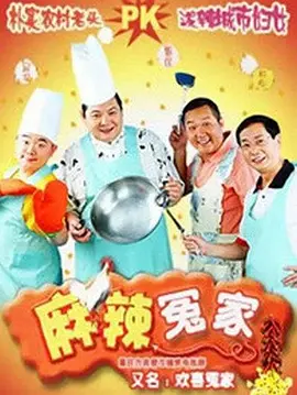 麻辣冤家6海报
