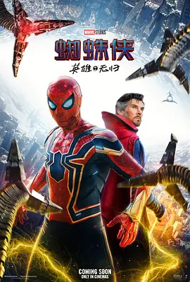 蜘蛛侠：英雄无归 Spider-Man: No Way Home海报