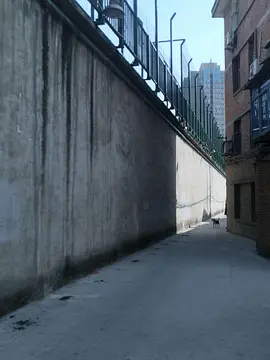 女敢死队 Expendabelles海报