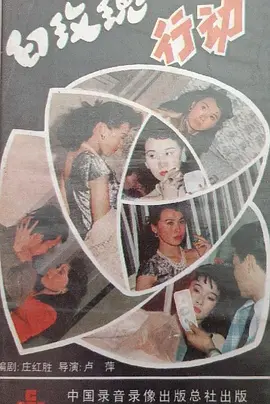 白玫瑰在行动海报