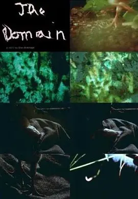 域之时 The Domain of the Moment海报