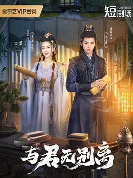 与君无别离海报