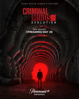 犯罪心理：演变 第十九季 Criminal Minds: Evolution Season 19海报