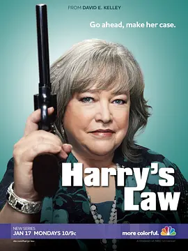 鞋店事务所 第一季 Harry’s Law Season 1海报