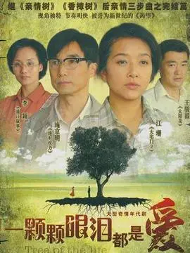一颗颗眼泪都是爱海报