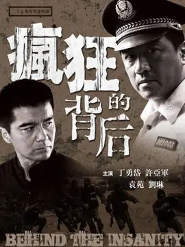 疯狂的背后海报