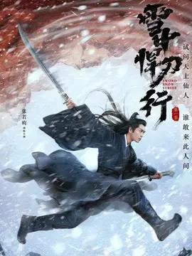 雪中悍刀行海报