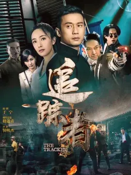 追踪者海报