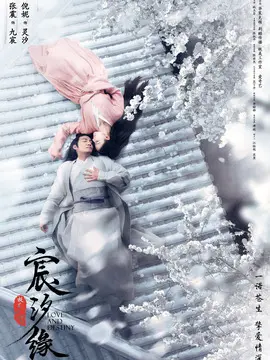 宸汐缘海报