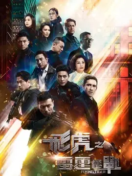 飞虎之雷霆极战海报