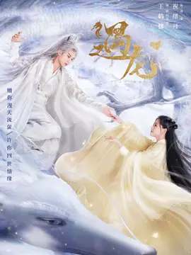 遇龙海报