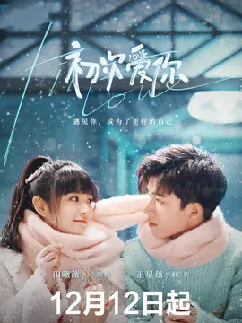 初次爱你海报