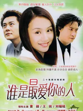 谁是最爱你的人海报