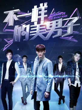 不一样的美男子海报