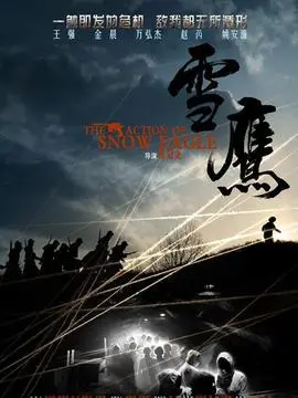 雪鹰海报